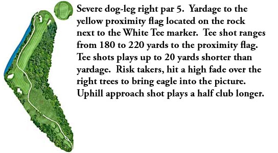Hole 10