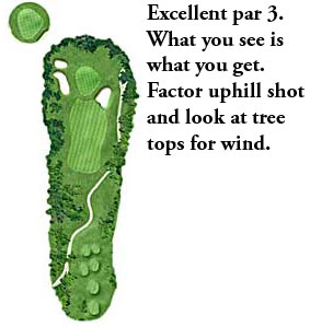 Hole 13