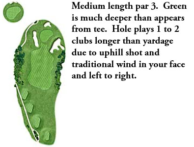 Hole 4
