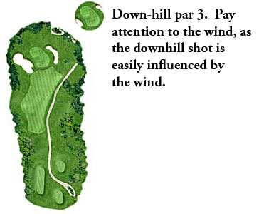 Hole 8