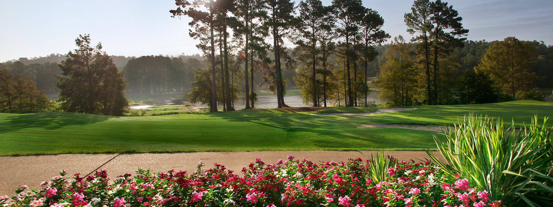 golf course path and trees